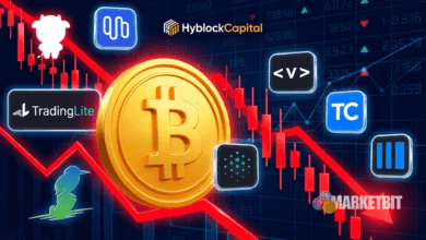 8 Best Crypto Liquidation Heatmaps in 2026